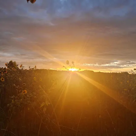 La Casa Del Borgo 公寓