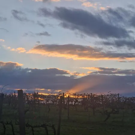 La Casa Del Borgo 公寓 Peccioli