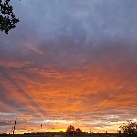 公寓 La Casa Del Borgo Peccioli