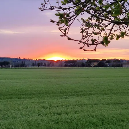 La Casa Del Borgo 公寓 *