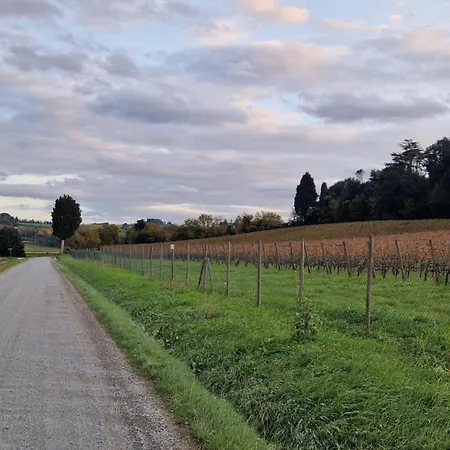 La Casa Del Borgo * Peccioli